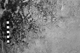 NMSA 03 3206P