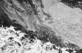 NMSA 03 2612P
