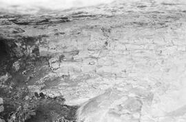 NMSA 03 2064P