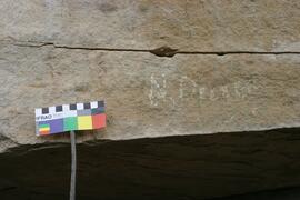 NMSA RSA LNM1 31D