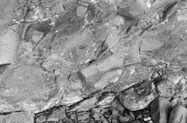NMSA 03 5613P
