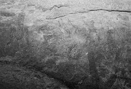 NMSA 03 8336P