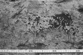 NMSA 03 79N