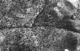 NMSA 03 574P