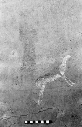 NMSA 03 5795P