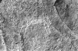 NMSA 03 964P