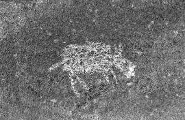 NMSA 03 47N