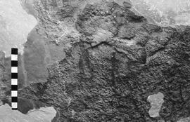 NMSA 03 4493P