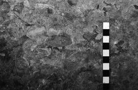 NMSA 03 3250P