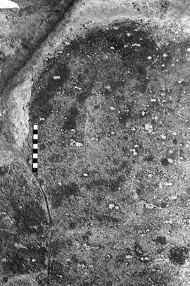 NMSA 03 4203P