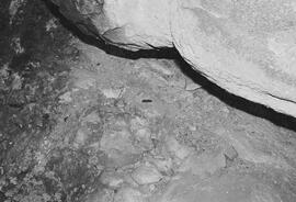 NMSA 03 5487P