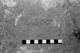 NMSA 03 4823P