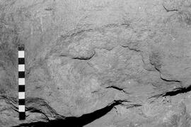 NMSA 03 6378P
