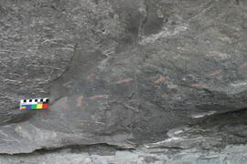 NMSA RSA KIM2 57D