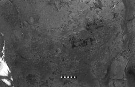 NMSA 03 2396P