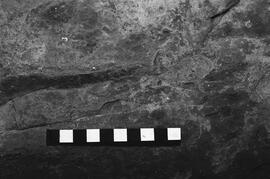 NMSA 03 3236P