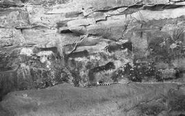 NMSA 03 4722P