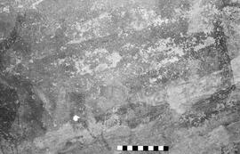 NMSA 03 5335P