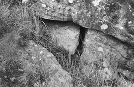 NMSA 03 6572P