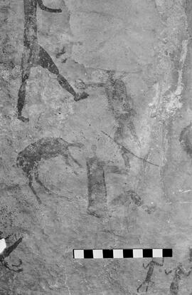 NMSA 03 5375P