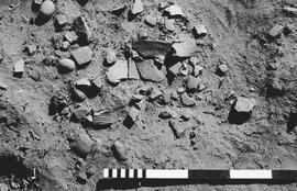 NMSA 03 723P