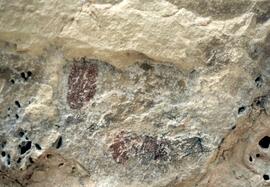 NMSA 02 346P