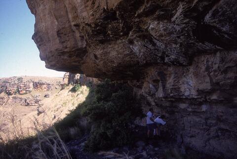 Open original Digital object