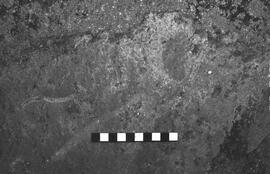 NMSA 03 2670P