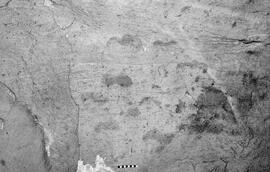 NMSA 03 6472P