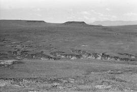 NMSA 03 636P