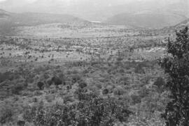 NMSA 03 8903P