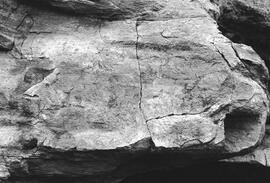 NMSA 03 342P