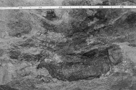 NMSA 03 199P