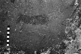 NMSA 03 3336P