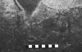 NMSA 03 5278P