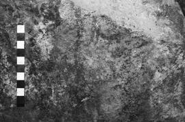NMSA 03 4151P