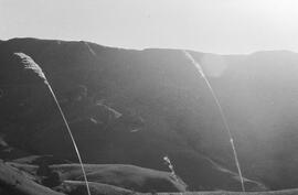 NMSA 03 2564P