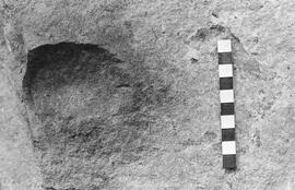 NMSA 03 1641P
