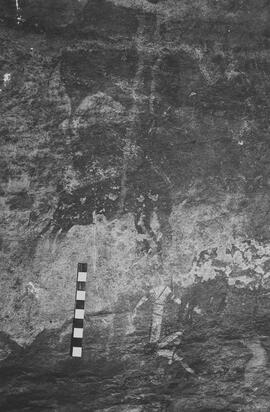NMSA 03 7401P
