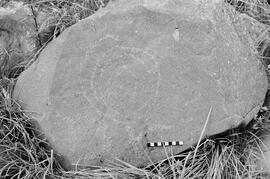 NMSA 03 7489P