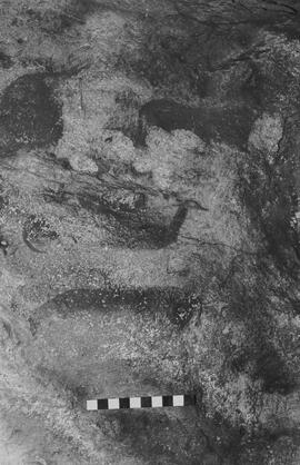 NMSA 03 4635P