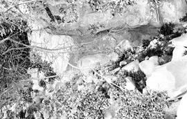 NMSA 03 4039P