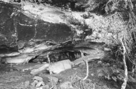 NMSA 03 8894P