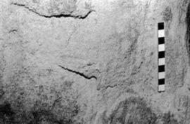 NMSA 03 6573P