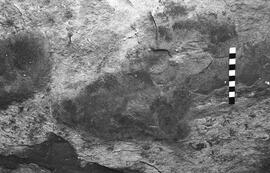 NMSA 03 6881P