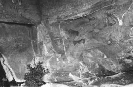 NMSA 03 1323P