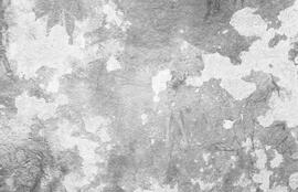 NMSA 03 147N