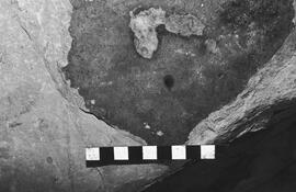 NMSA 03 4621P