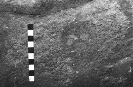 NMSA 03 4785P