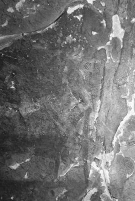 NMSA 03 8393P